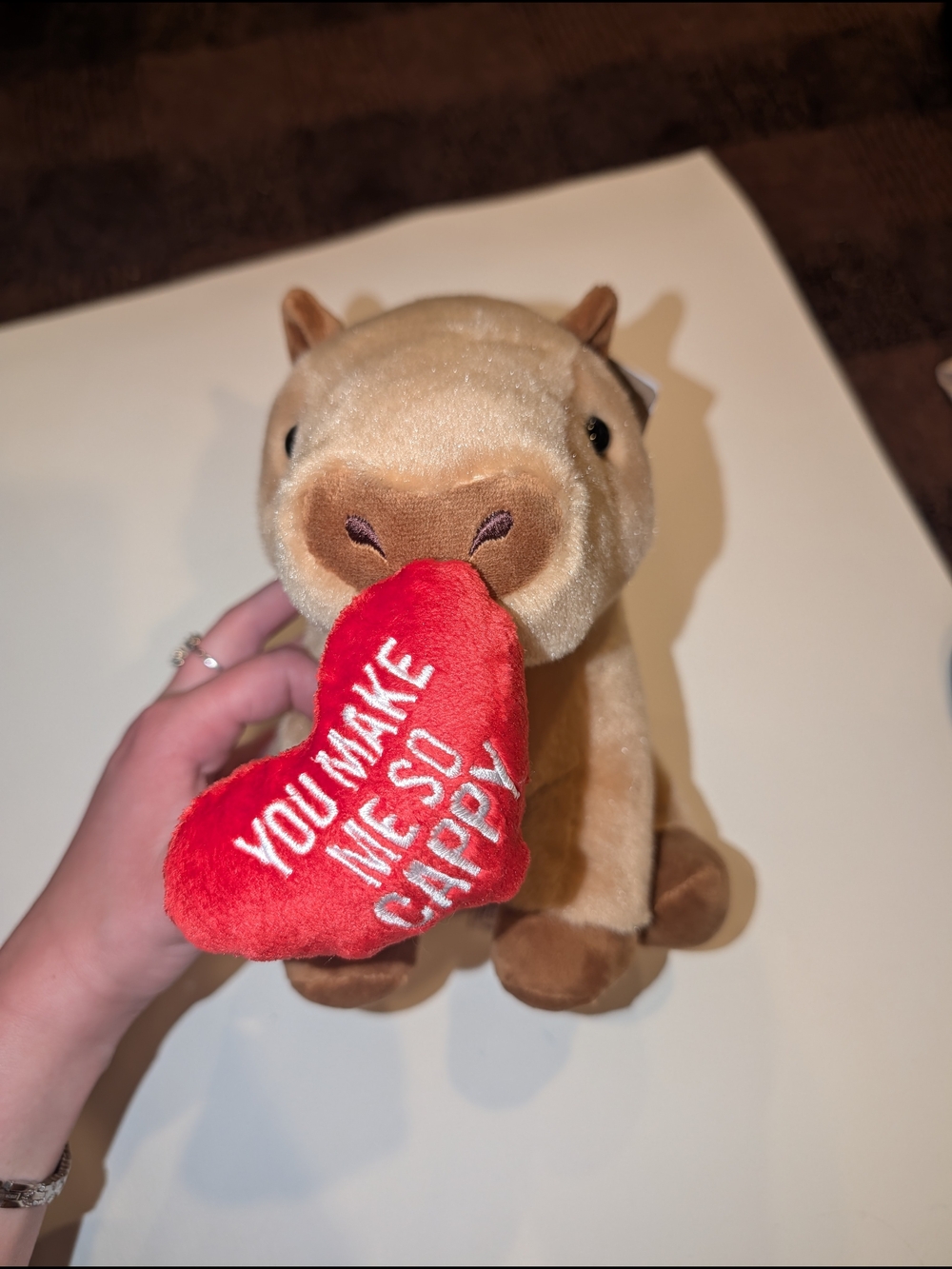 Plush Capybara Holding Red Heart - "You Make Me So Cappy"